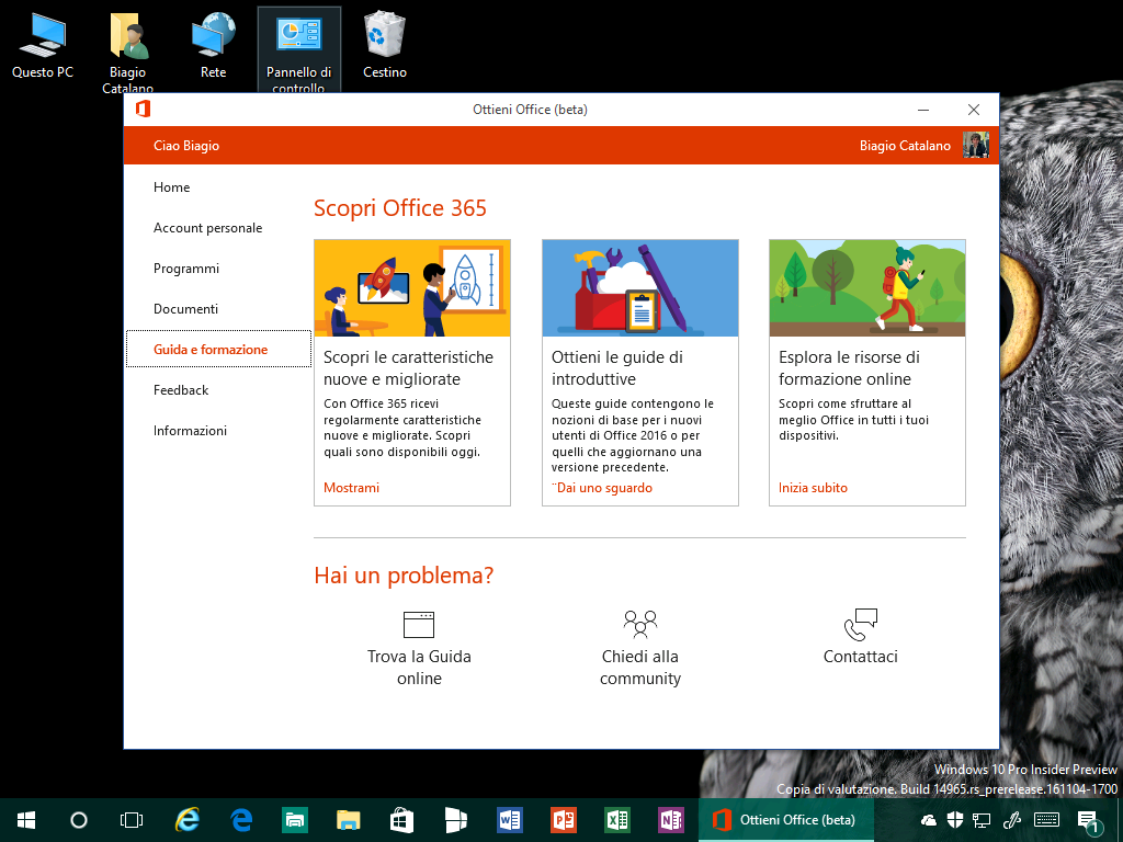 download free office 365 for windows 10 free