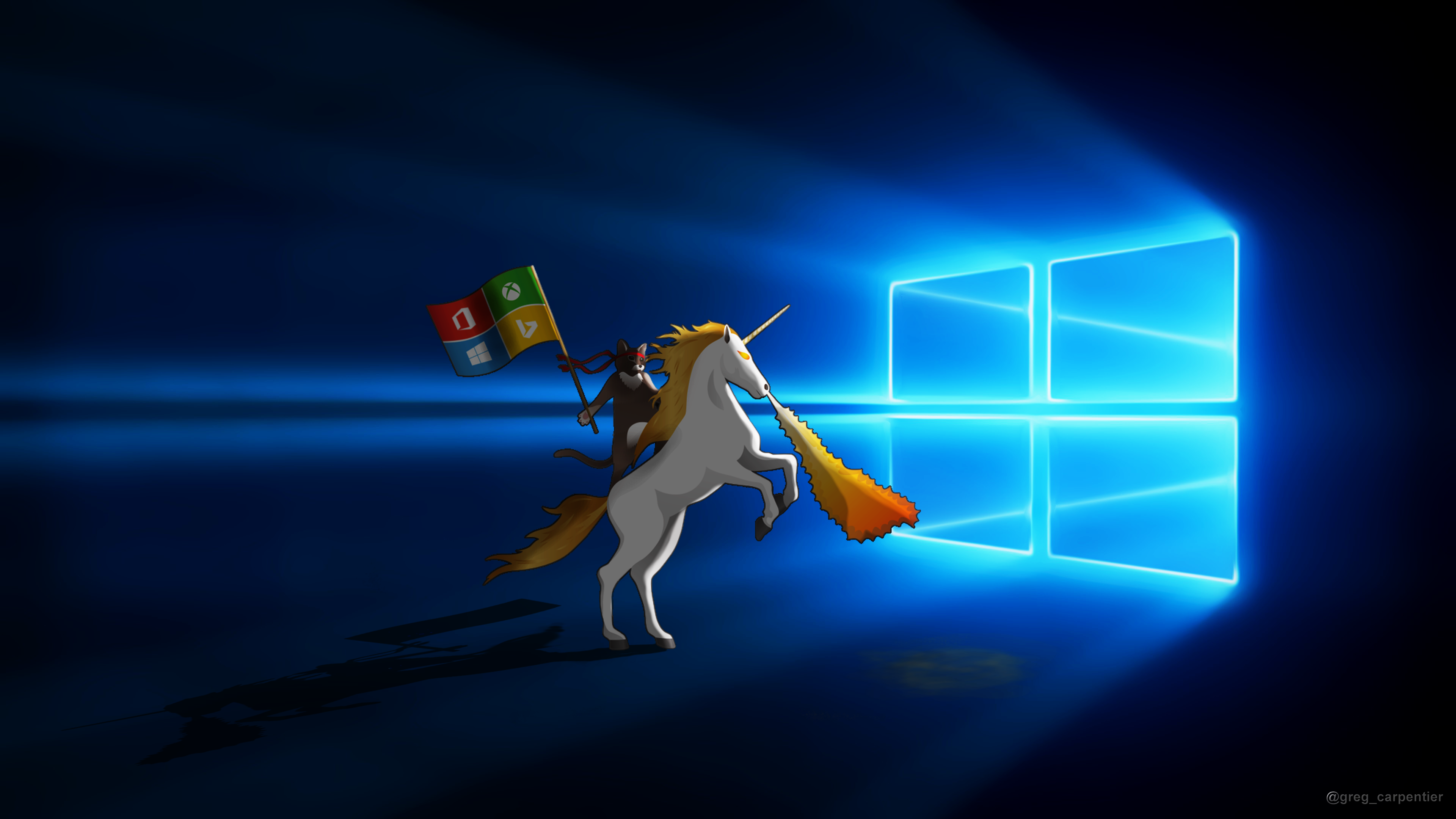 Windows Insider 10 Ninja Cat
