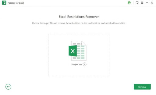 Passper for Excel 3.8.0.2 instaling