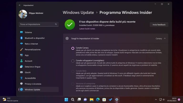 Rivoluzione Windows Insider: Apre Al Pubblico Il Canale Canary