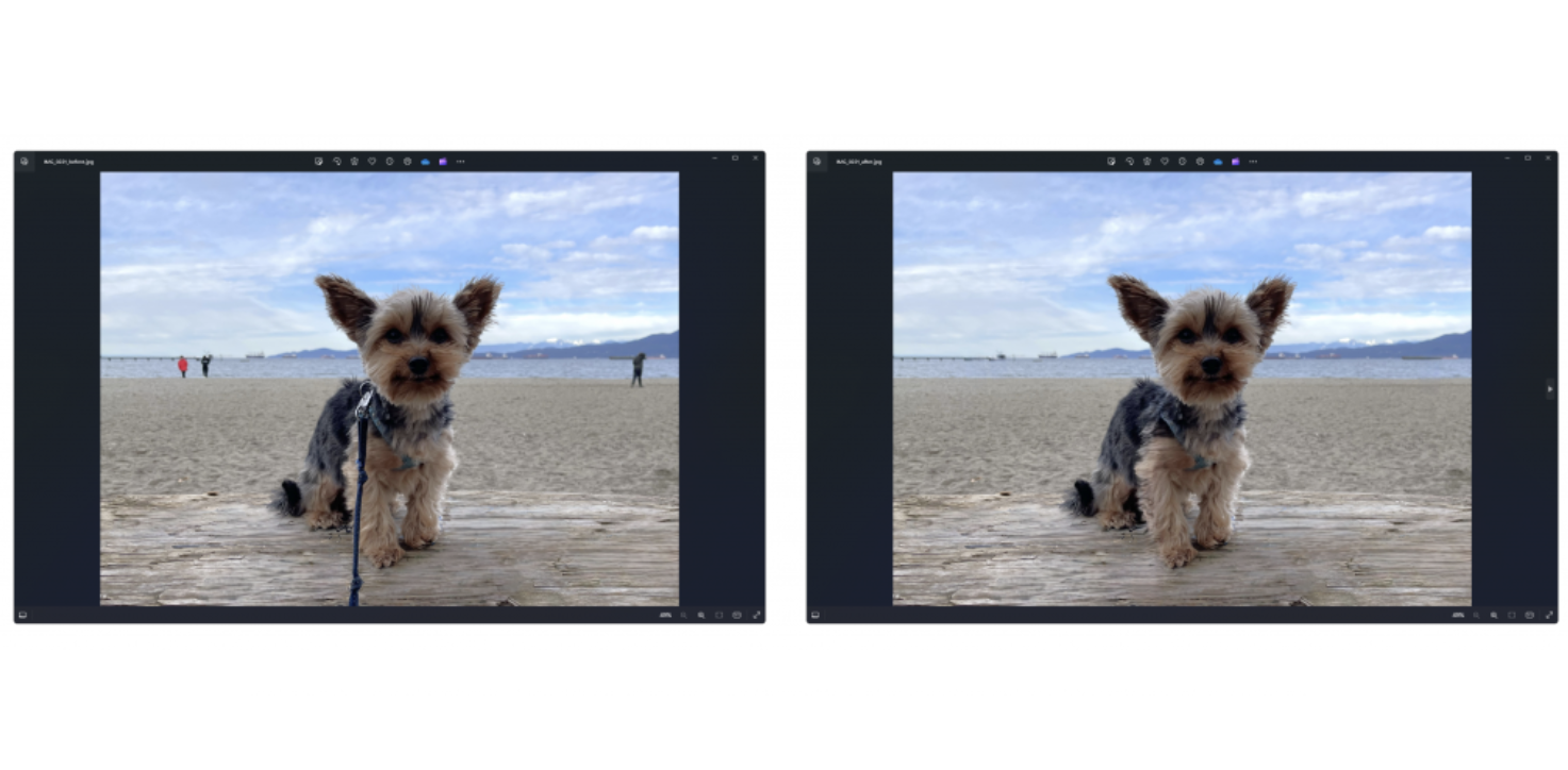 Microsoft Foto per Windows 11 introduce rimozione oggetti con l’AI nelle foto