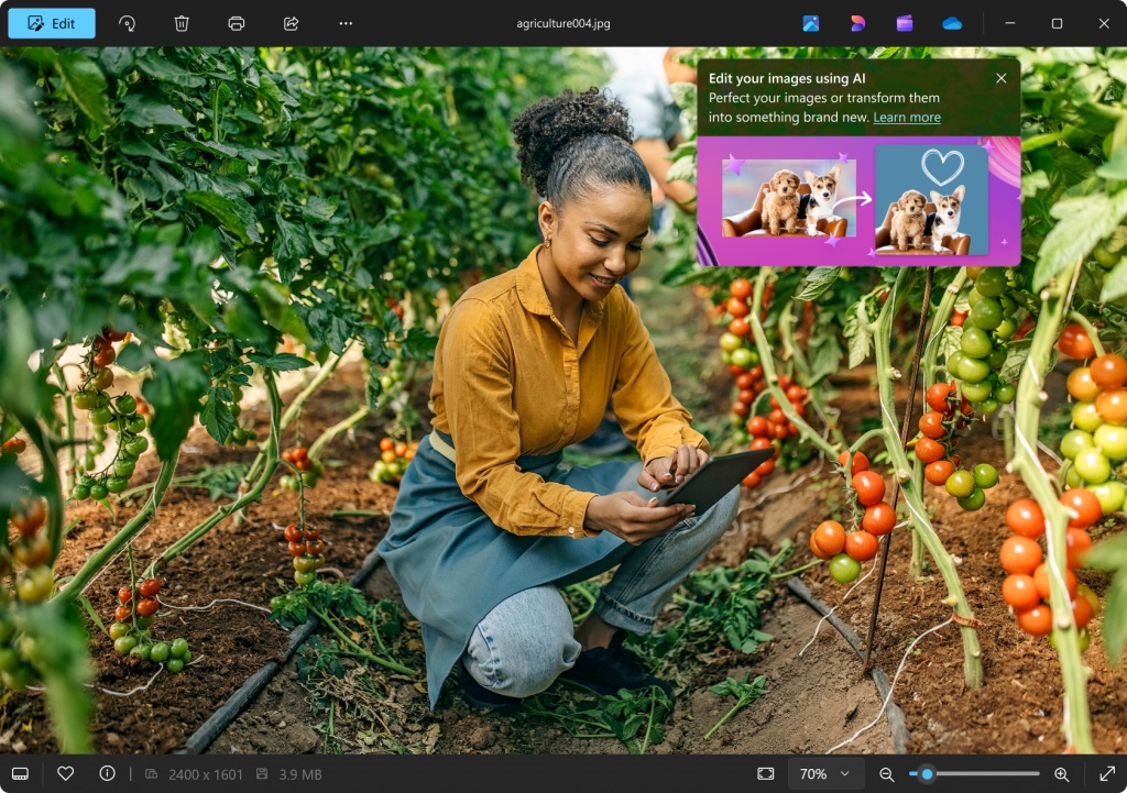 Microsoft Foto per Windows 11 introduce l’integrazione completa di Designer