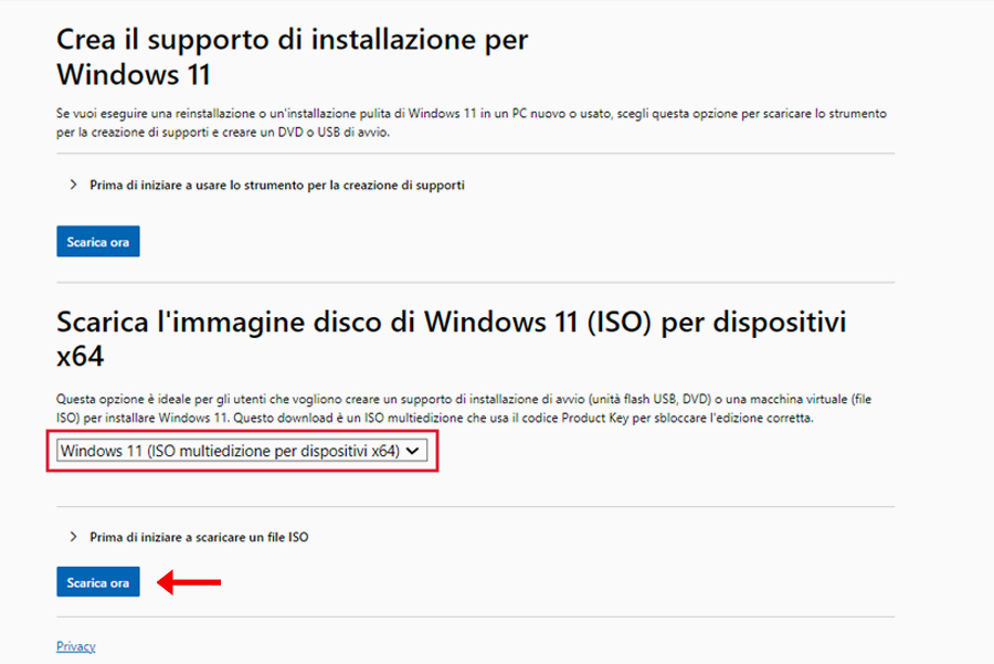 download ISO Windows 11 Pro 64 bit